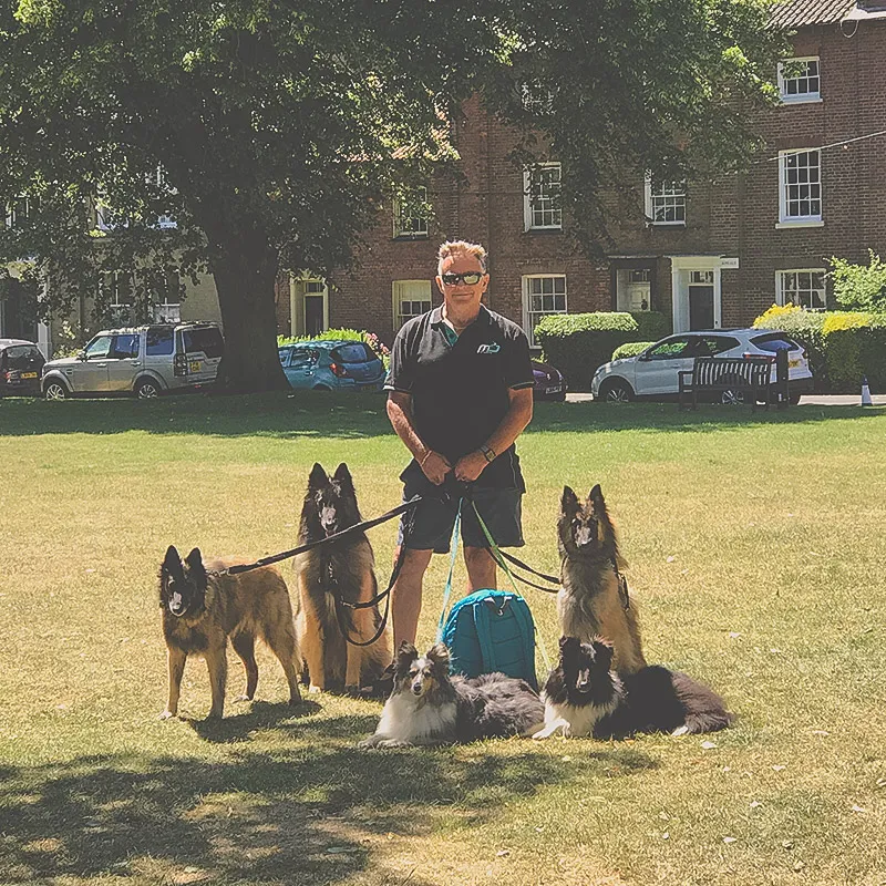 Keith with the Dogs Understood team of dogs