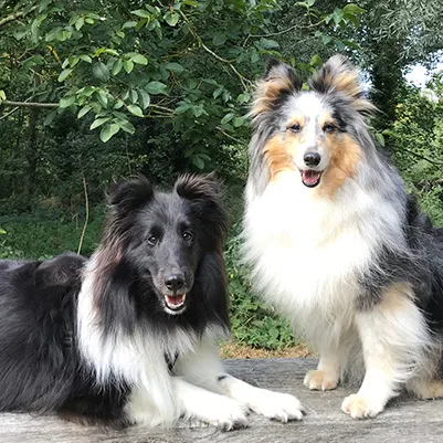 Shadow and Lilly together