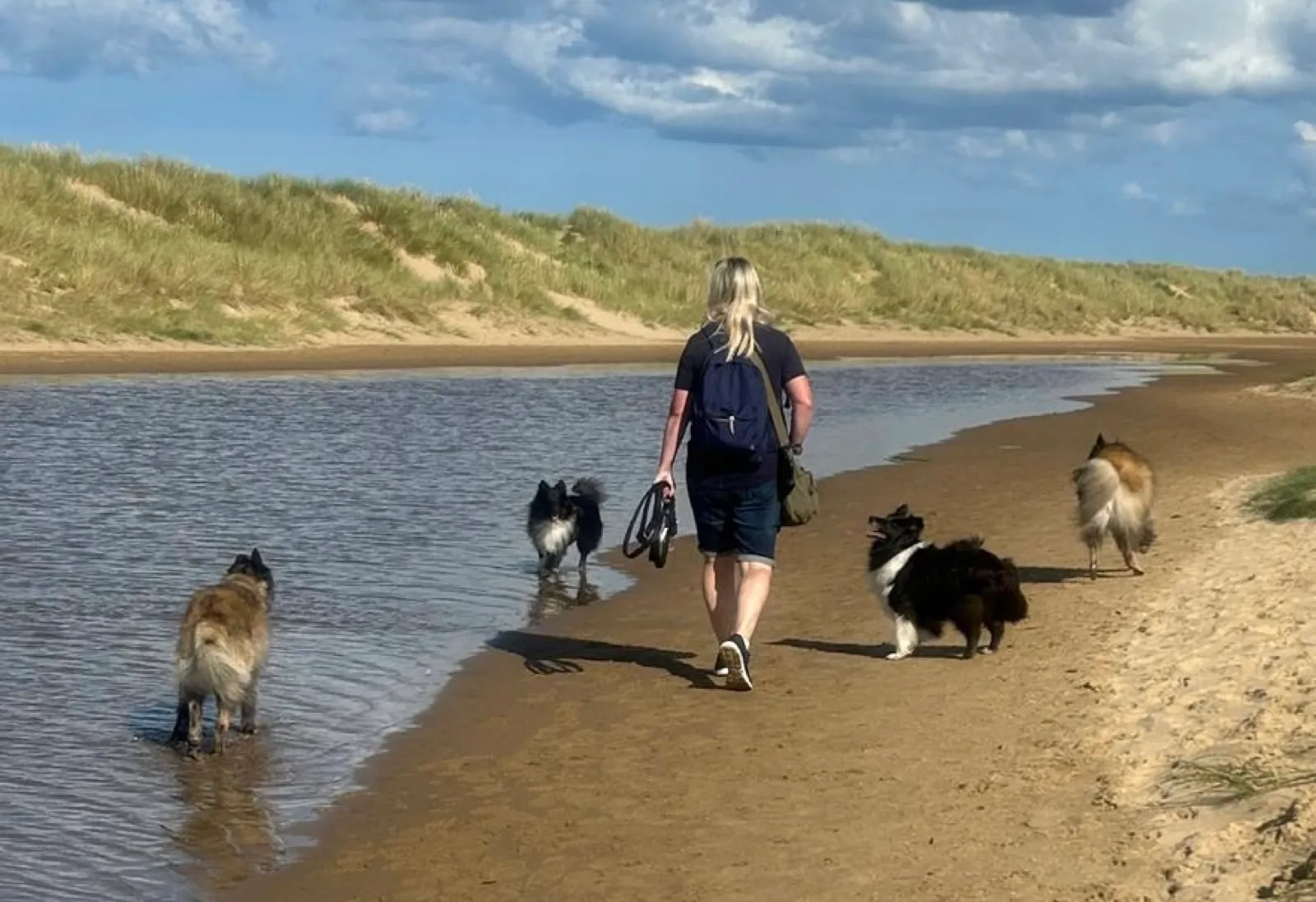 Sally walking the dogs along the water&rsquo;s edge at the beach