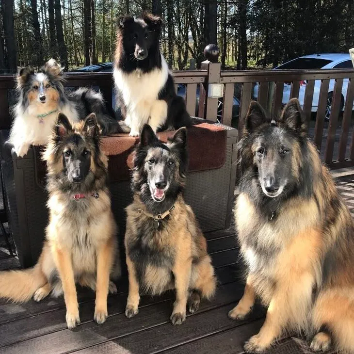 Sally with one of her dogs